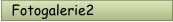 Fotogalerie2